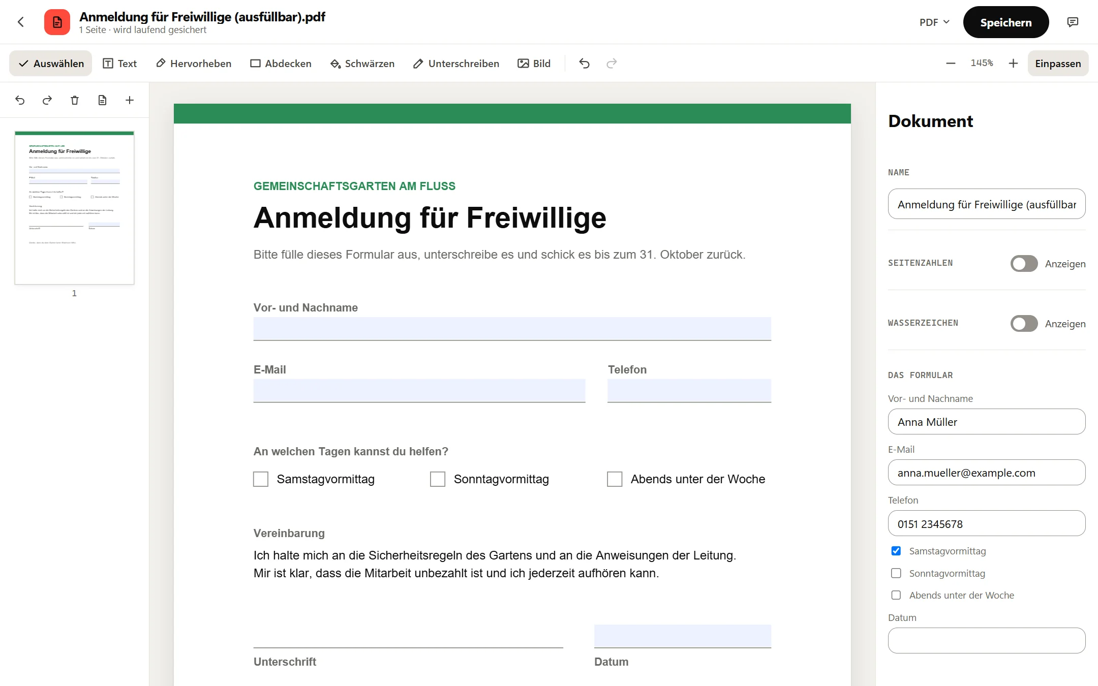 Eine ausfüllbare Version des Formulars im PDF-Editor: Die Felder stehen rechts unter Das Formular, Vor- und Nachname, E-Mail und Telefon sind ausgefüllt und Samstagvormittag ist angehakt.